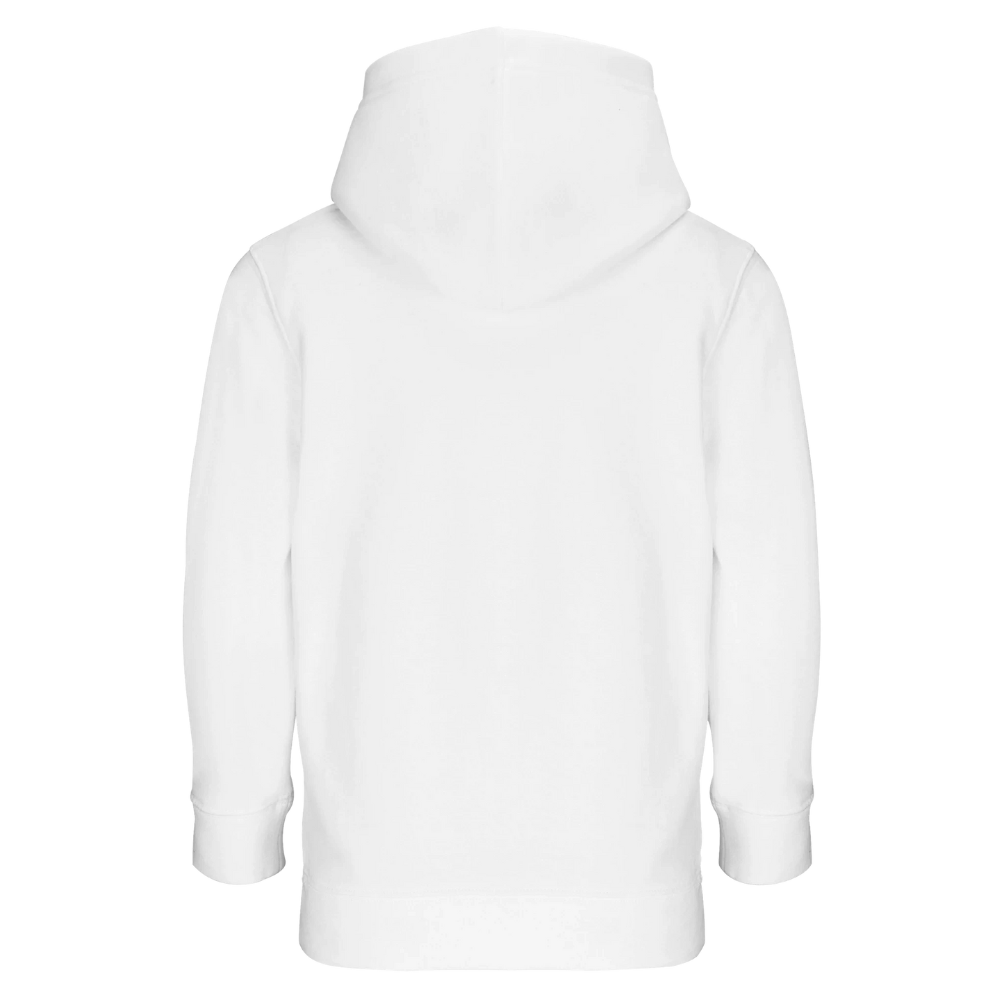 47620a28-1150-49a3-8827-fc0301a1d476